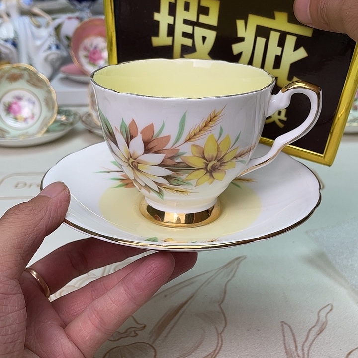 碟维多利亚欧洲中古