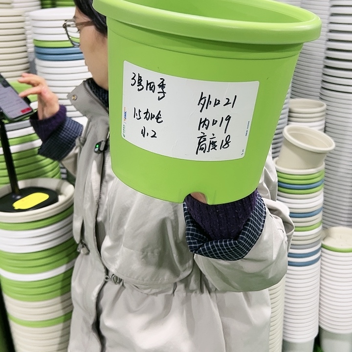 特价3号四季口21高18白色无托6只