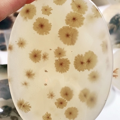 未镶嵌玛瑙/玉髓珠宝奇石