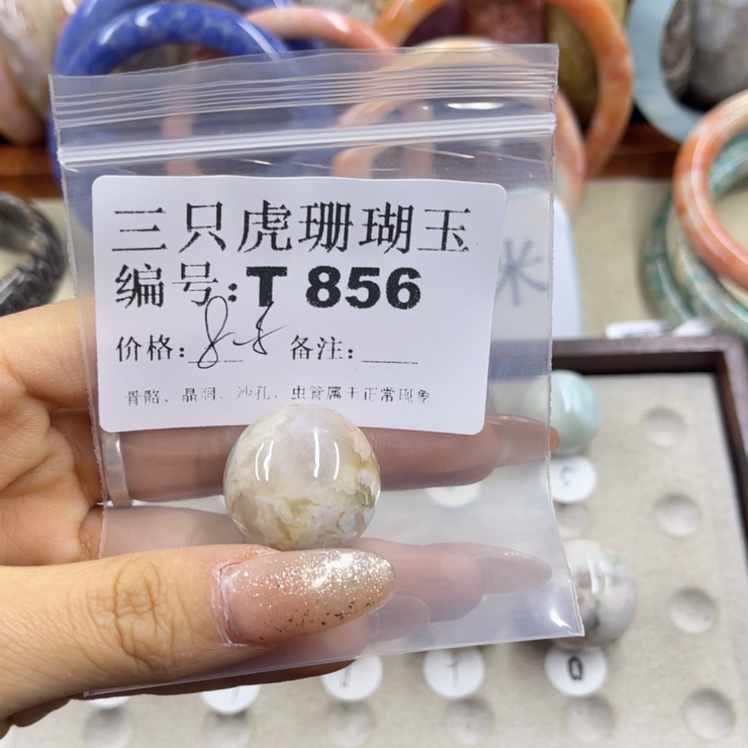 家***宝硅化珊瑚（珊瑚玉）未镶嵌h