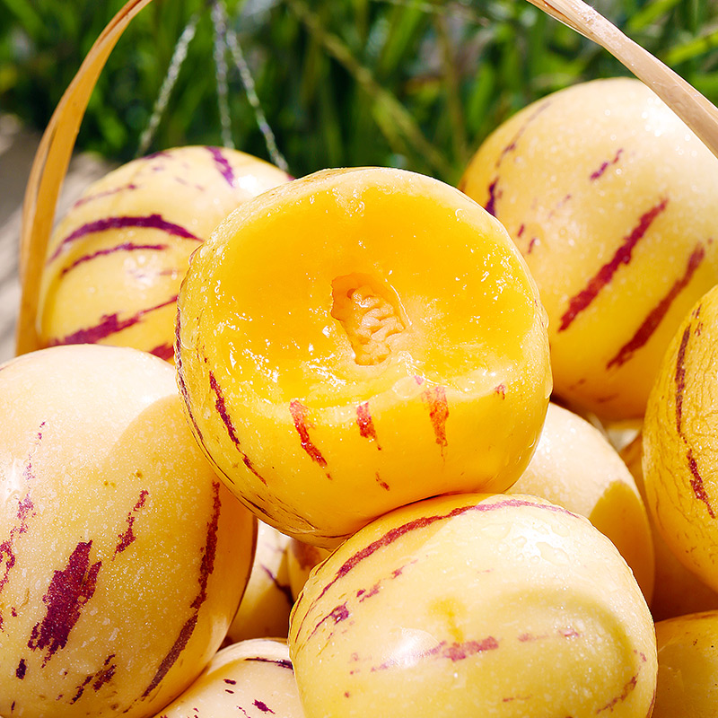 【树熟花香人参果】云南石林人参果新鲜水果树熟圆果香甜多汁