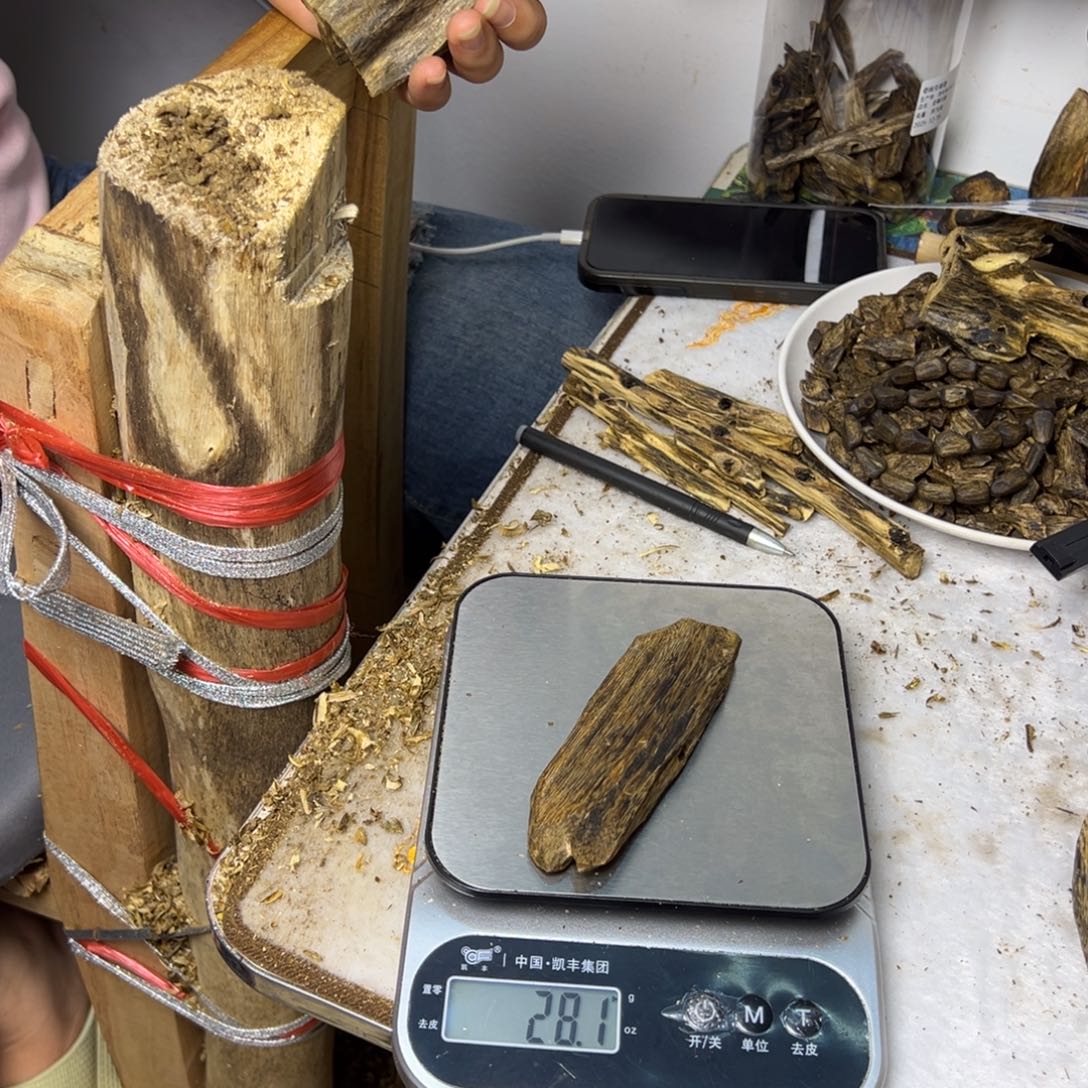 线香奇楠虫漏香28克