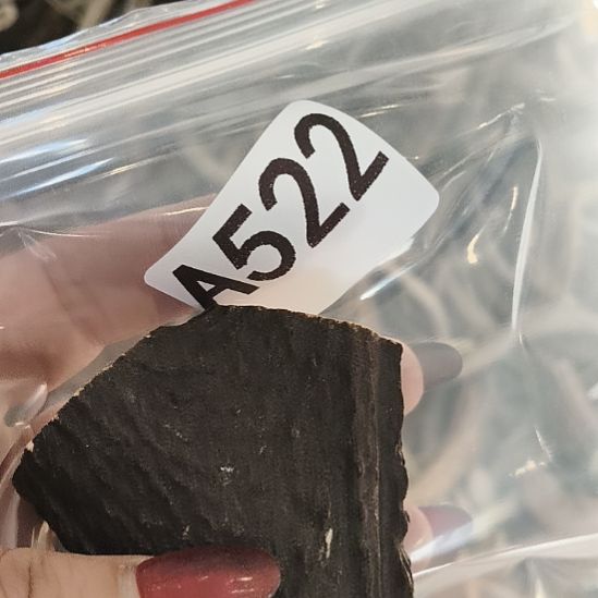 竞***为鹿角鹿角鹿角鹿角鹿角