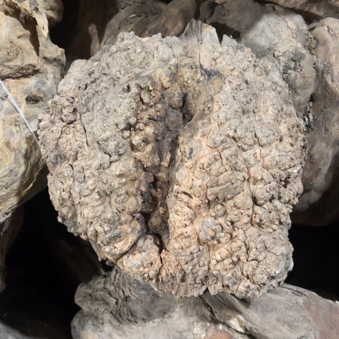 ღ***࿐松木（琥珀木）无事牌