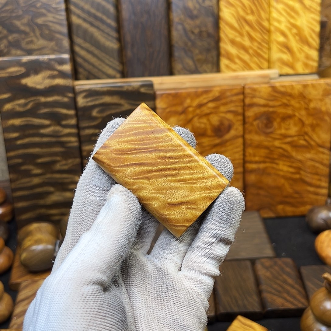 杨***学金丝楠小叶桢楠平安无事