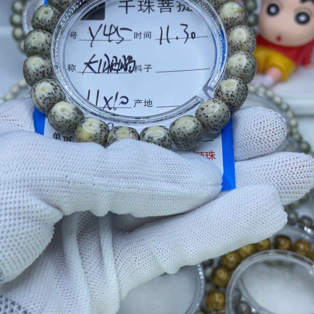 菩提籽类Y45大眼睛