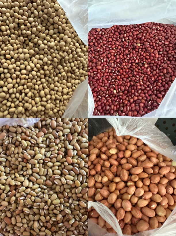 农家代收山货豆类助农