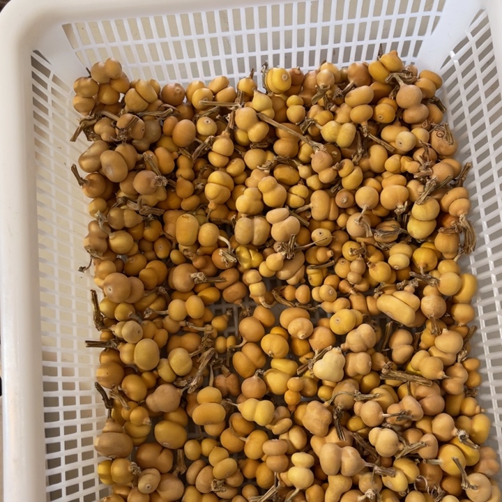 从***来葫芦娃的时候我也不知道