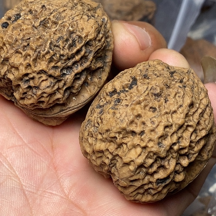 把件文玩核桃志成云铁文玩4