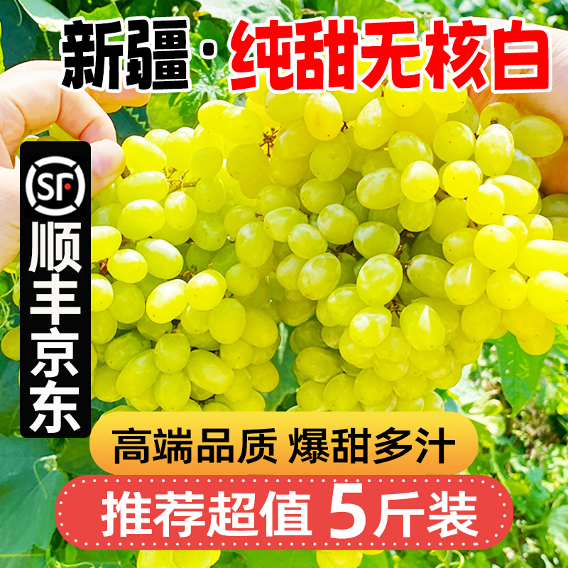 现货明日达【顺丰包邮】DS吐鲁番火焰山新鲜无核白小蜜蜂葡萄无籽应季水果半斤-5斤 新疆维吾尔自治区
