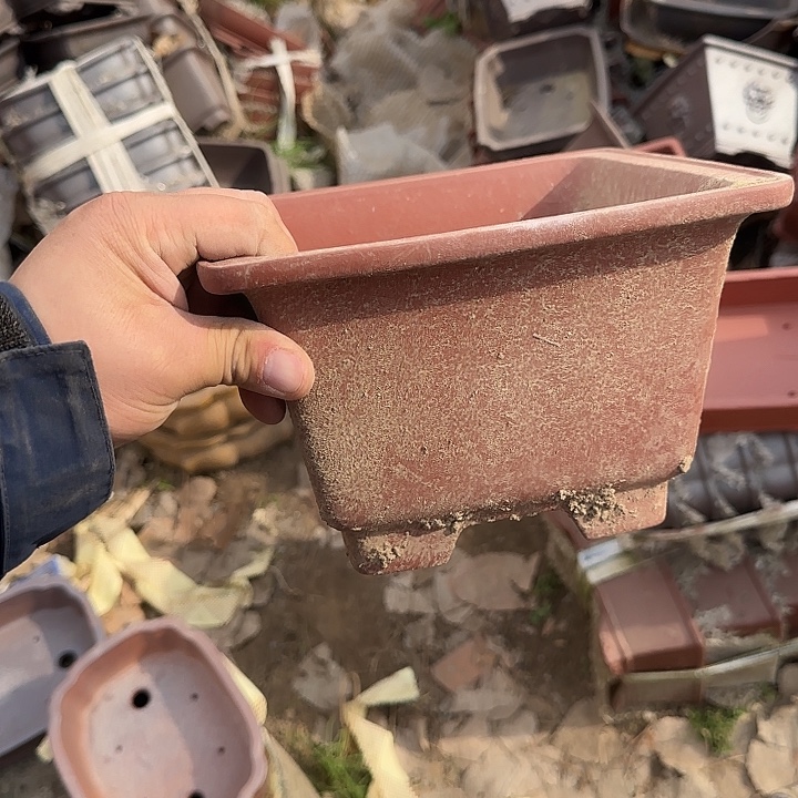 是因为她太喜欢了所以还是觉得不应该在