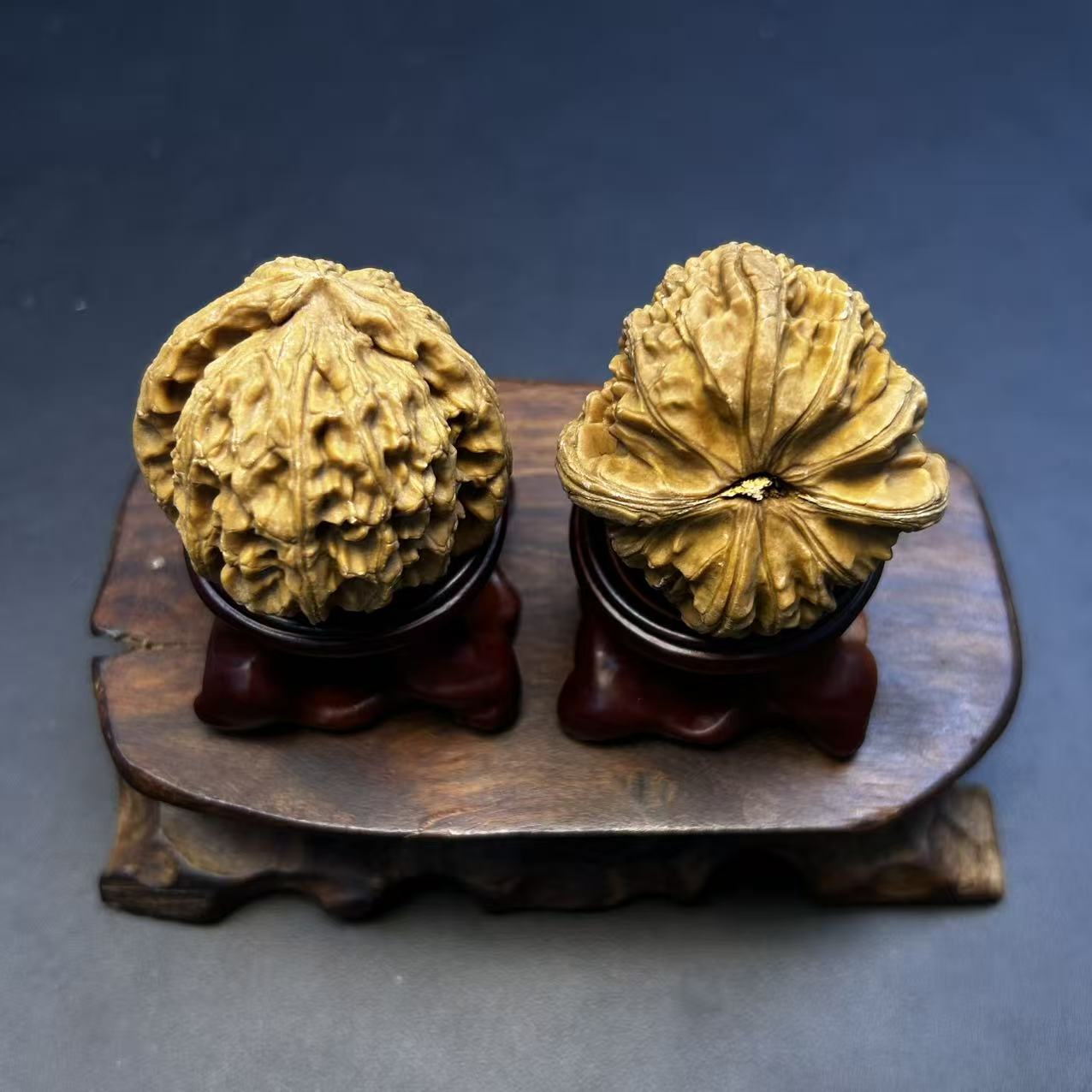 白茬三角白狮子核桃--361