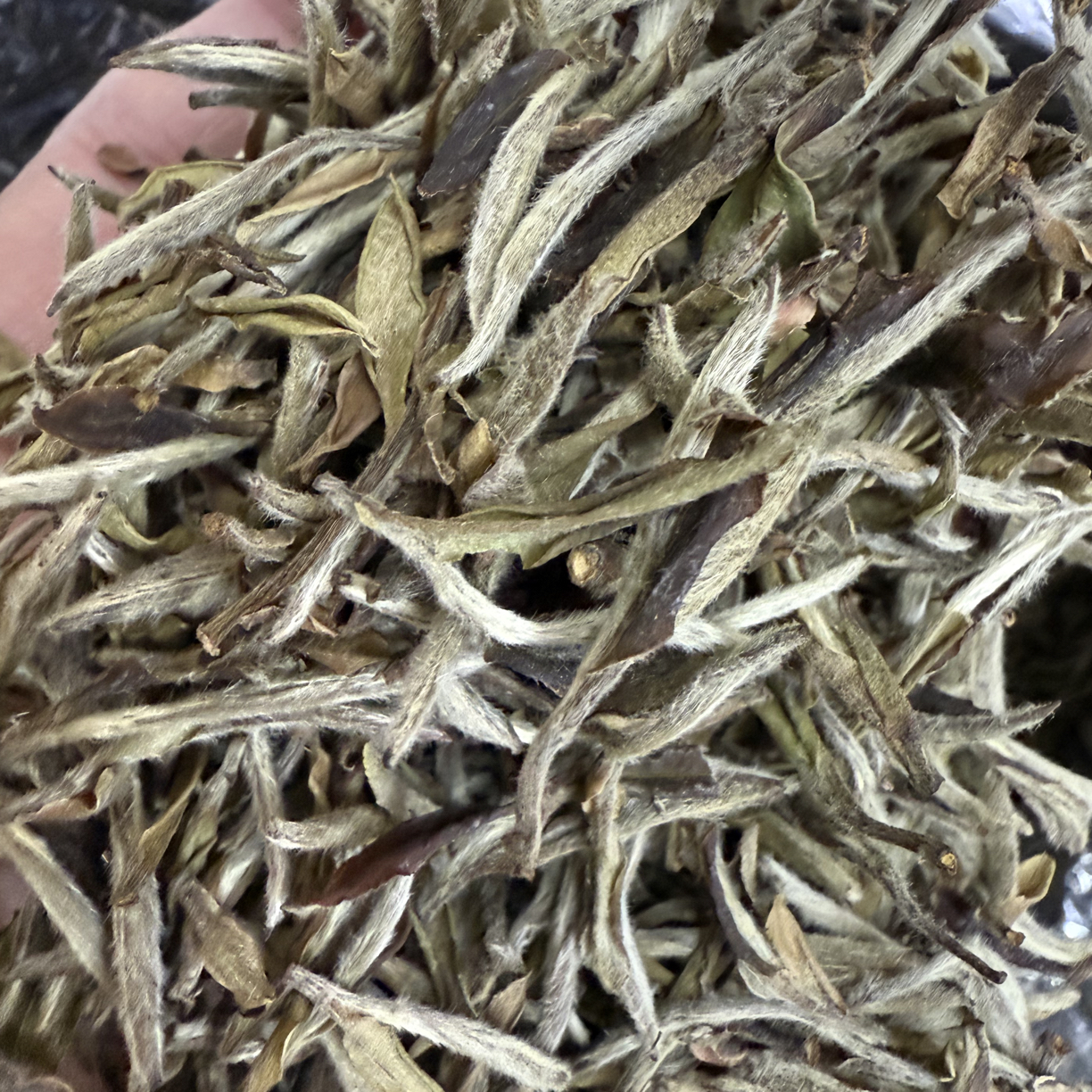 牡丹王·二号山头·厂家开播福利50克·尊享福利款