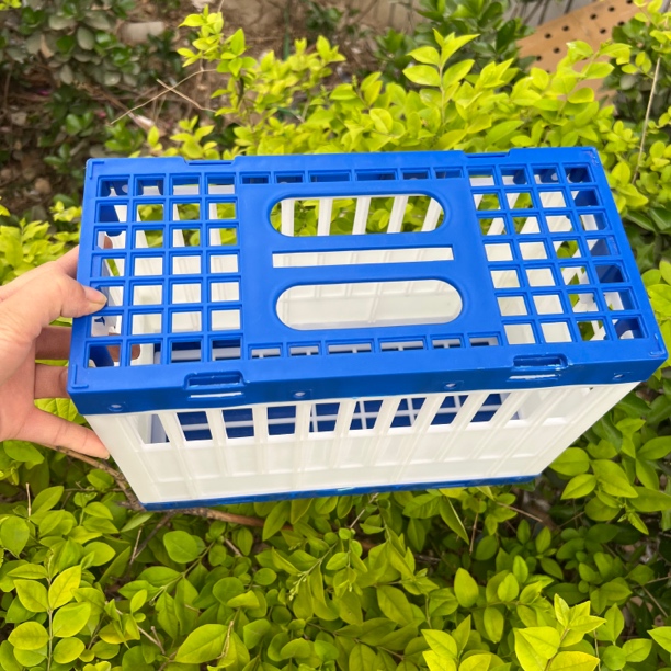 可拼装塑料放飞笼手提报道笼训放笼双通道需要拼装可容纳1羽鸽子