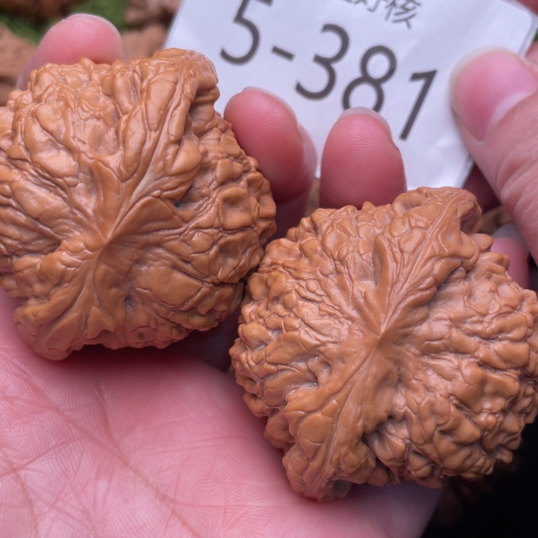 文玩核桃把件精配爆肉毕业龙鼎51