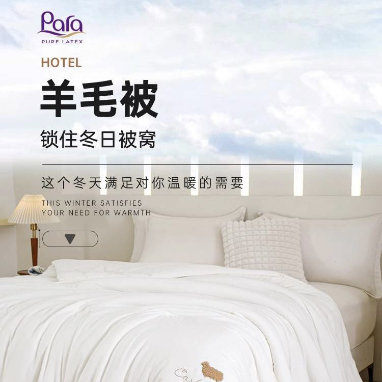 200*230cm 拆箱发 5.5-6斤 羊毛被