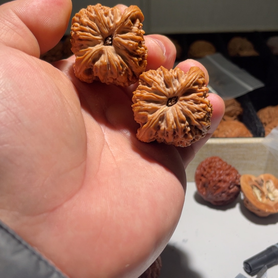 镜***心吊坠文玩核桃40南疆石