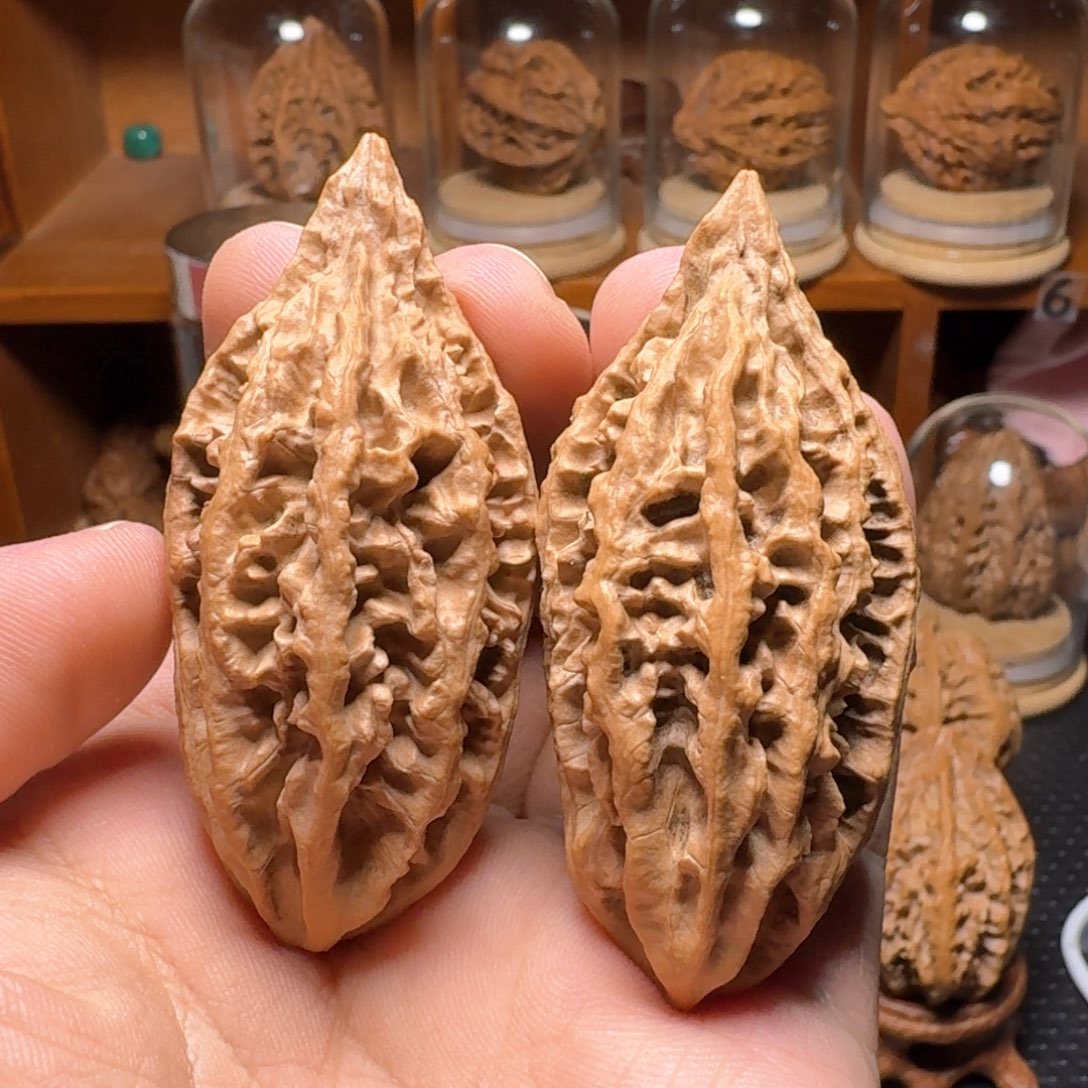 文玩核桃把件老树龙纹柳叶