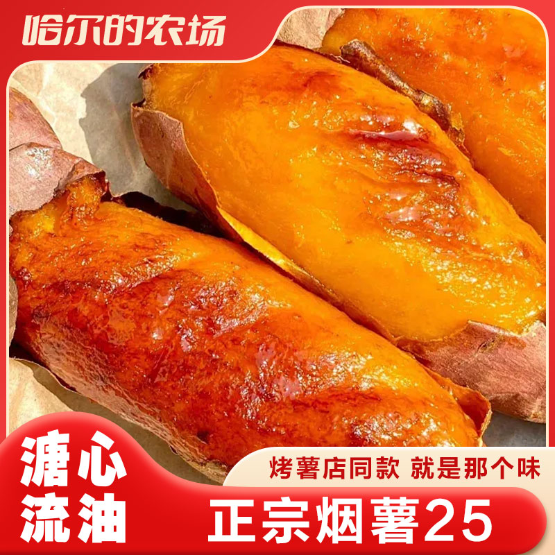 烟薯25红薯，烤红薯店专属，流油密薯烟薯25号北京市