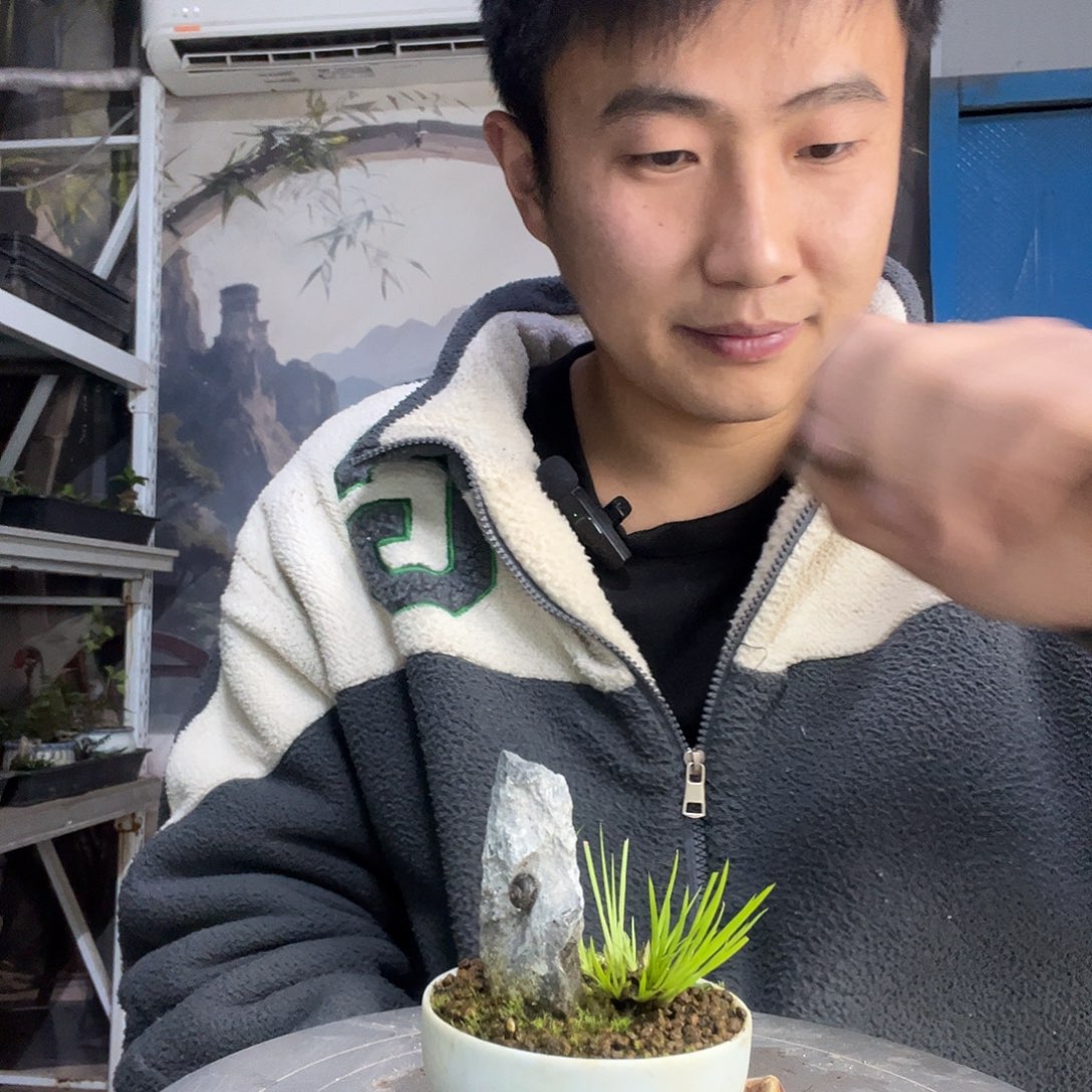 中青园艺一物一拍421