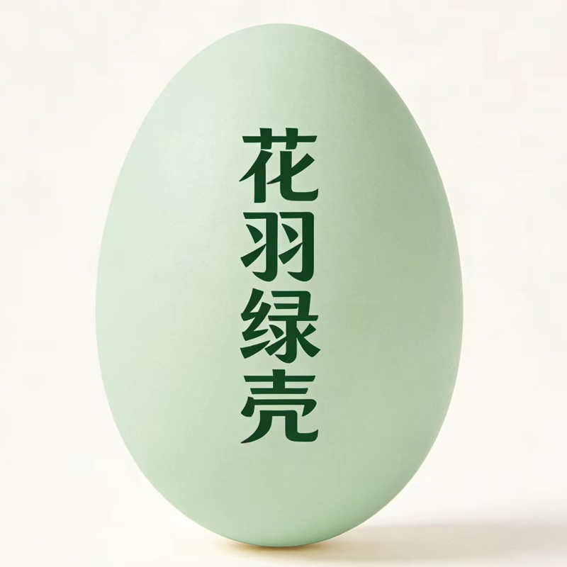 花羽绿壳蛋鸡 绿壳鸡蛋