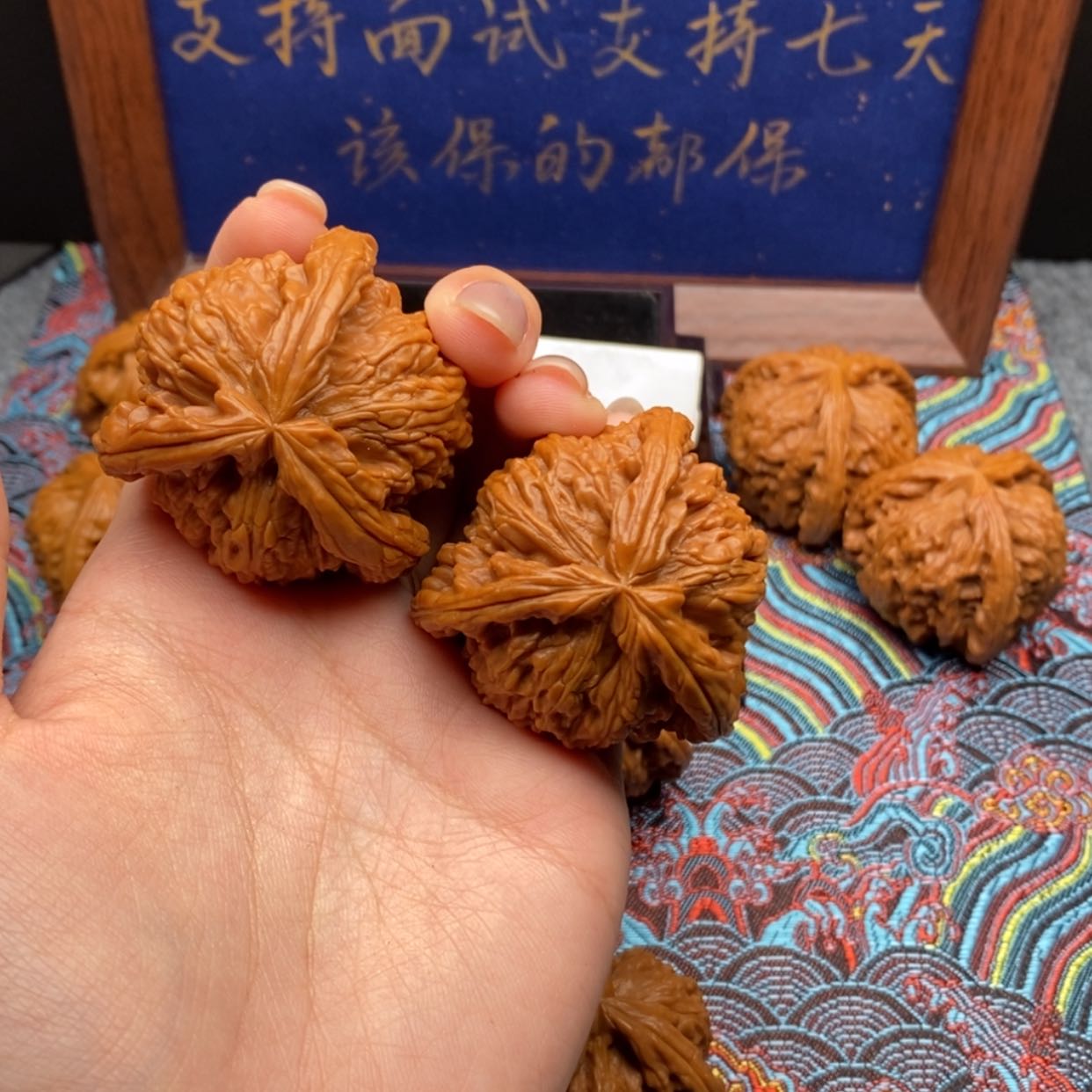 【闪购商品】马*东白狮