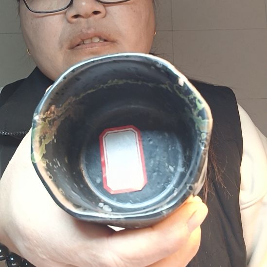 汝阳梅花厂家直销随形05