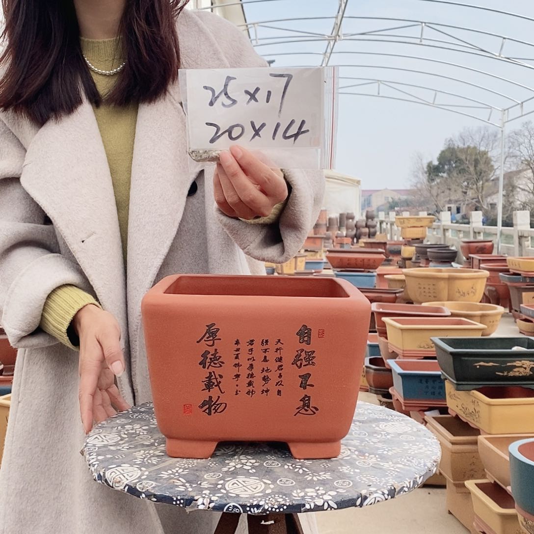 紫砂花盆紫砂花盆