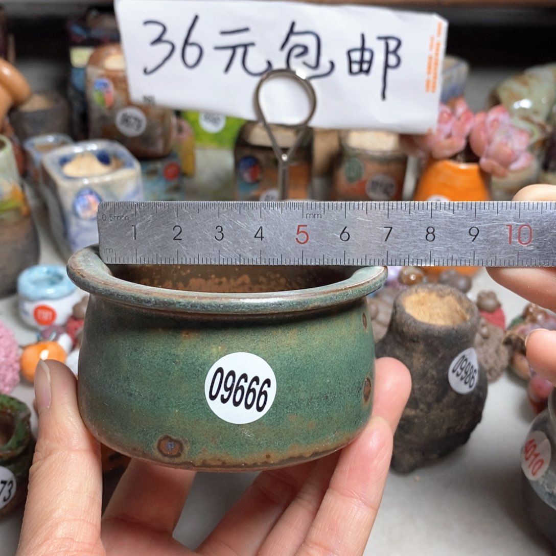 拍5送一个同款的，