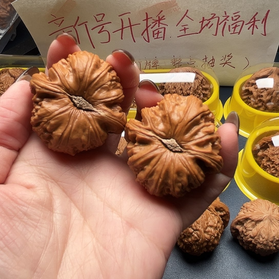 百***闲核桃41尺寸白狮子