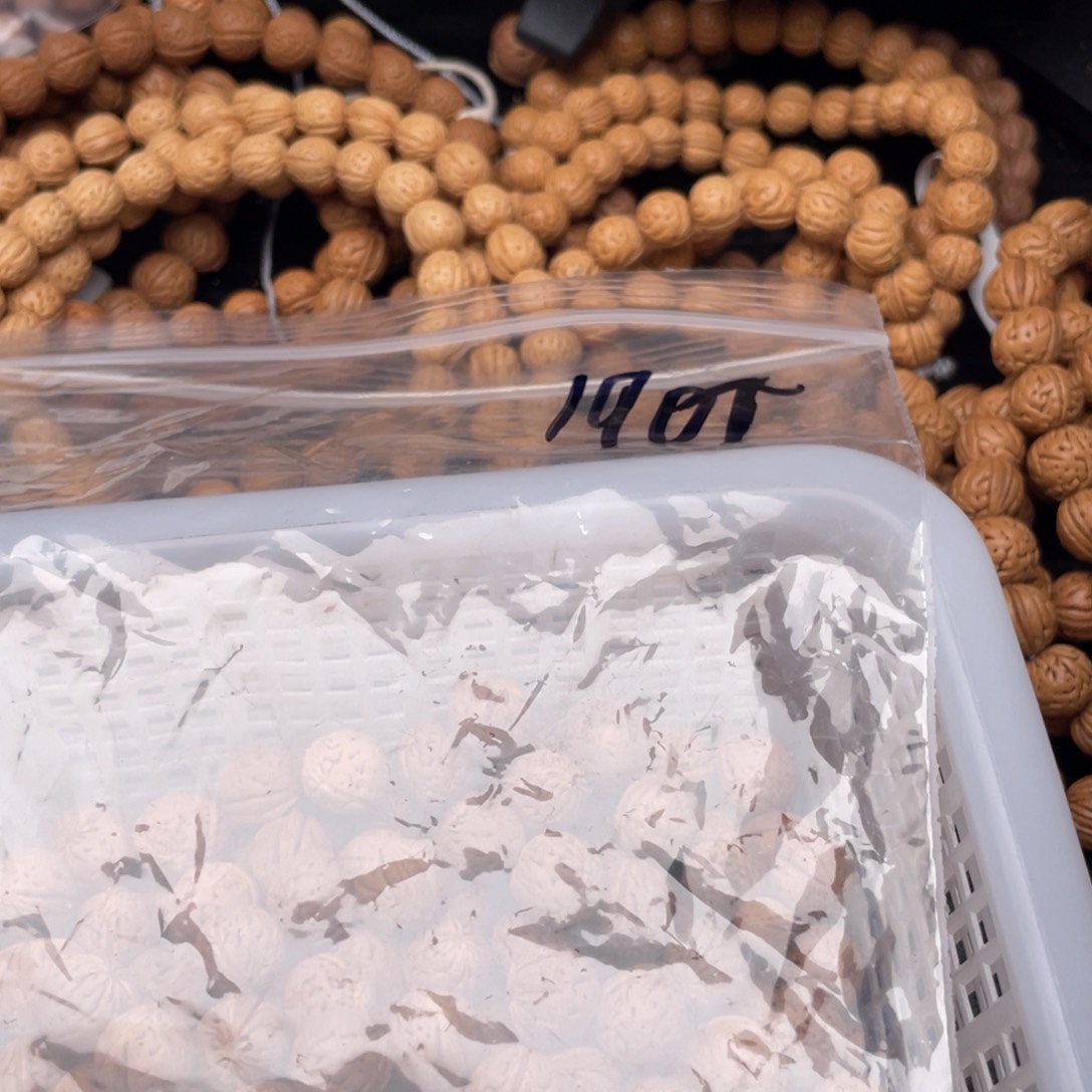 【闪购商品】太***赵散子批发50米