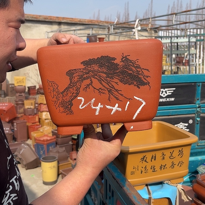 紫砂花盆紫砂花茶