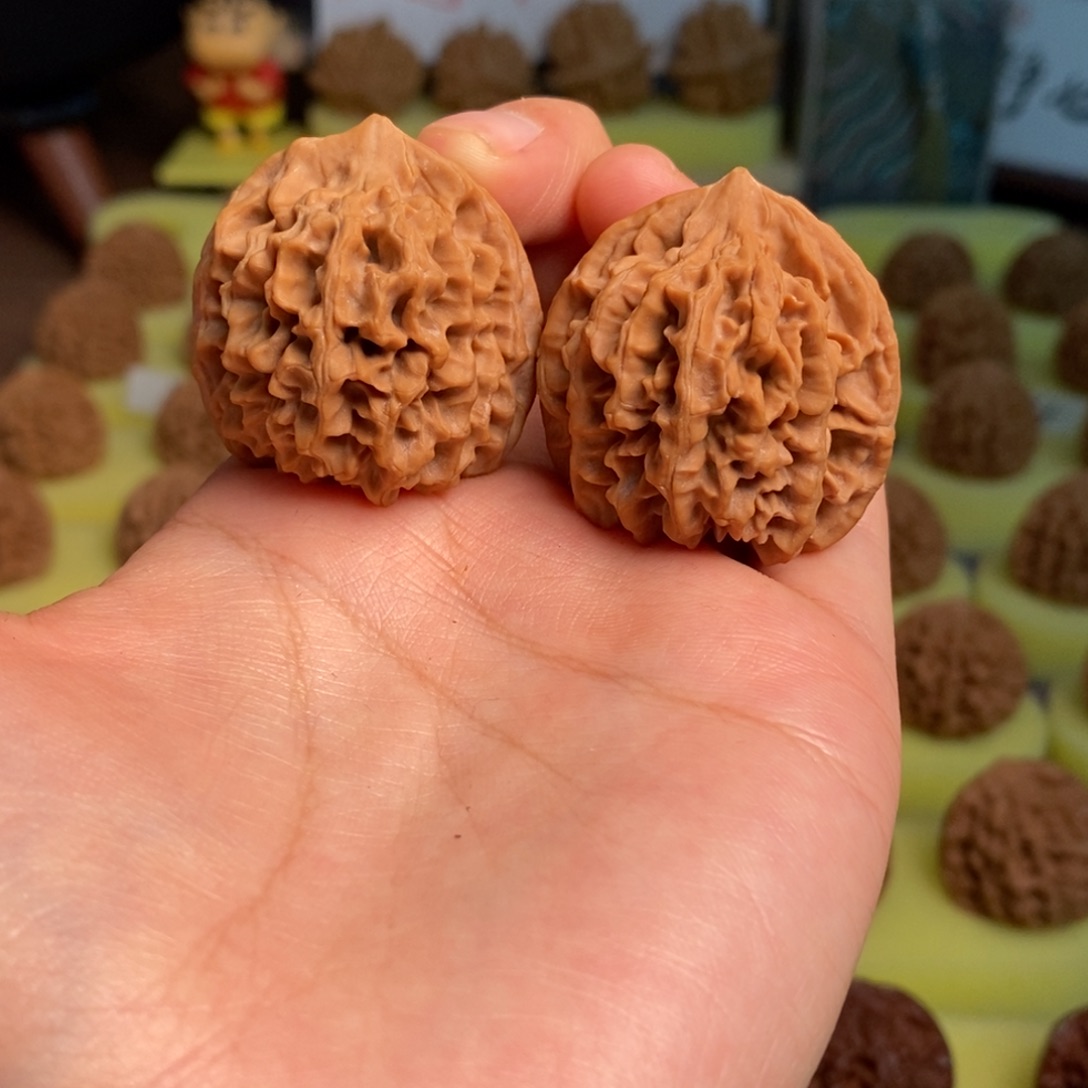 核桃秦岭闷尖狮子头35