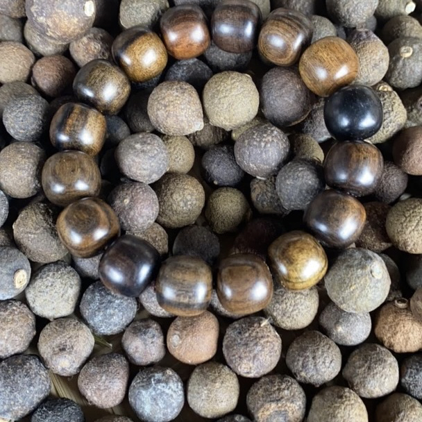 【阿雅专属生】1002菇号24g