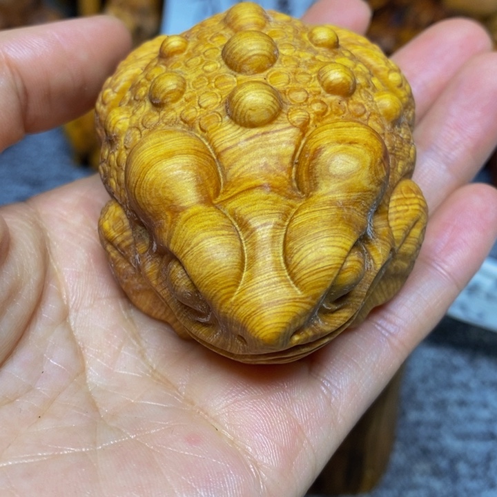 柏木（崖柏）崖柏54