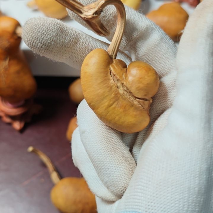 彬***彬精品土豆葫芦一物一拍