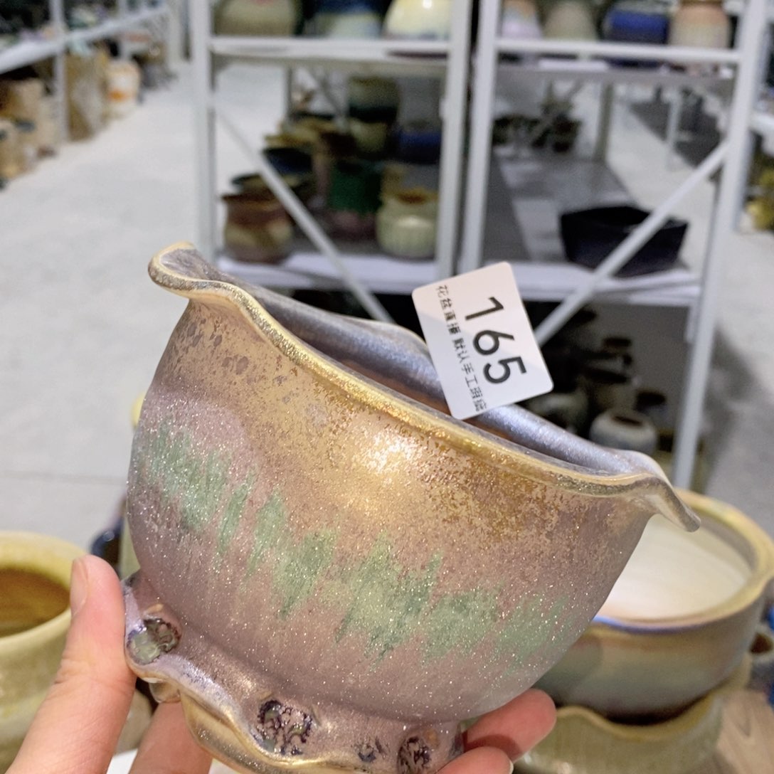 花盆花盆花盆炫彩