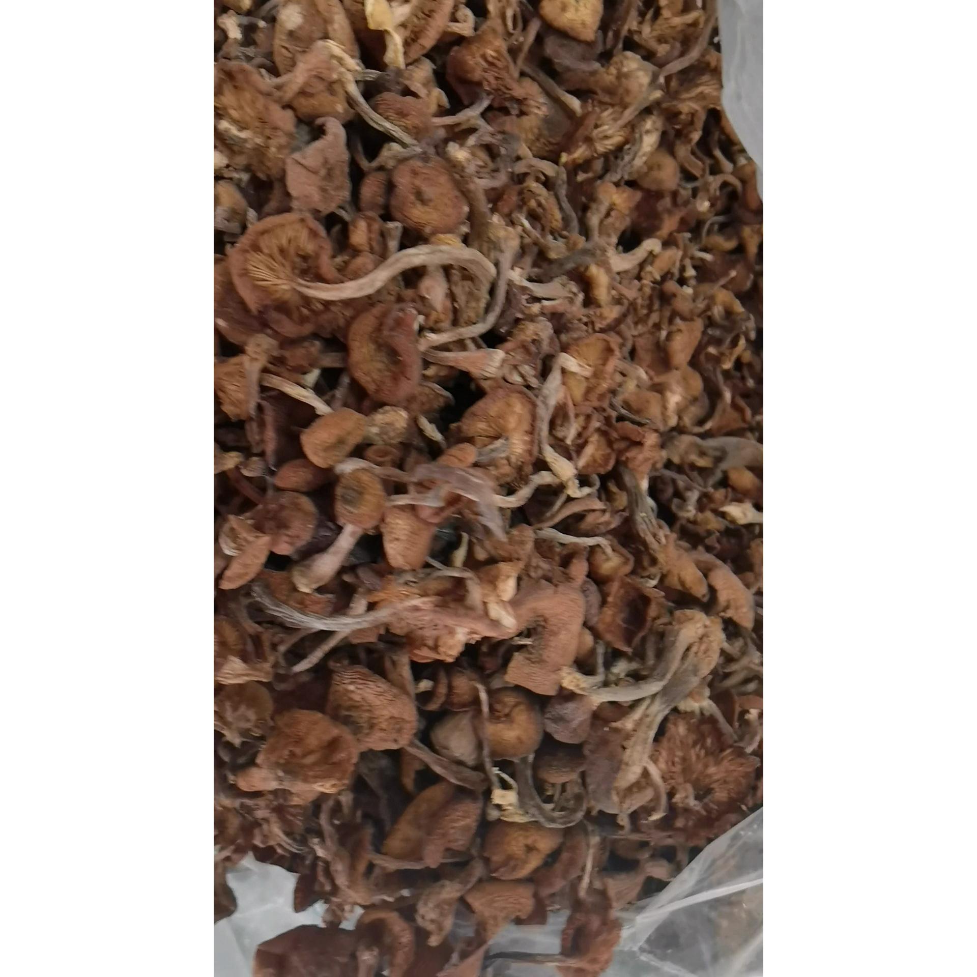 东北野生榛蘑新货头茬无根无沙自然晾晒特产美味