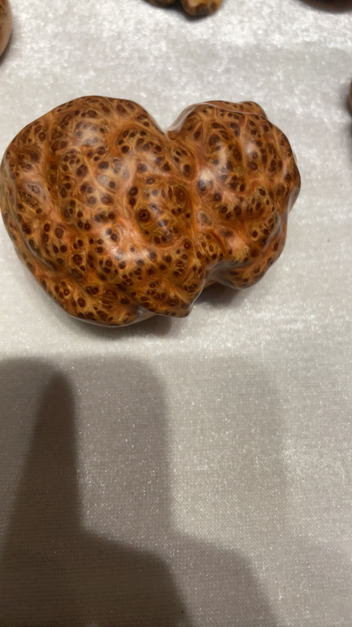 太行崖柏陈华手把玩