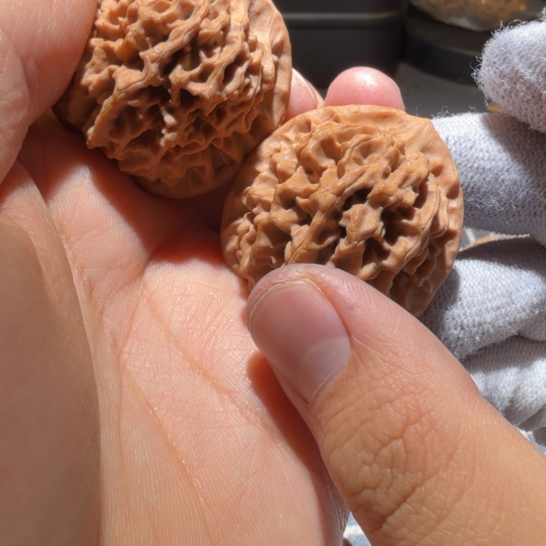 阿***恼文玩核桃把件秦闷