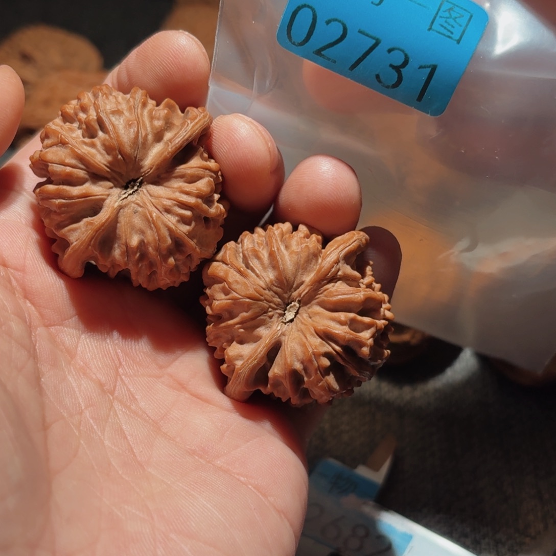 文玩核桃把件红珊瑚