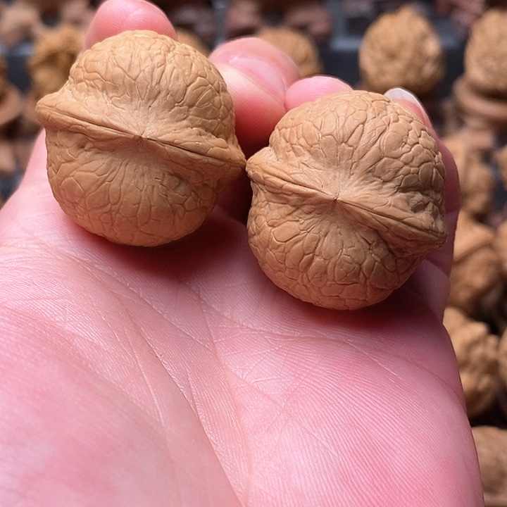 桃核把件射皮球……