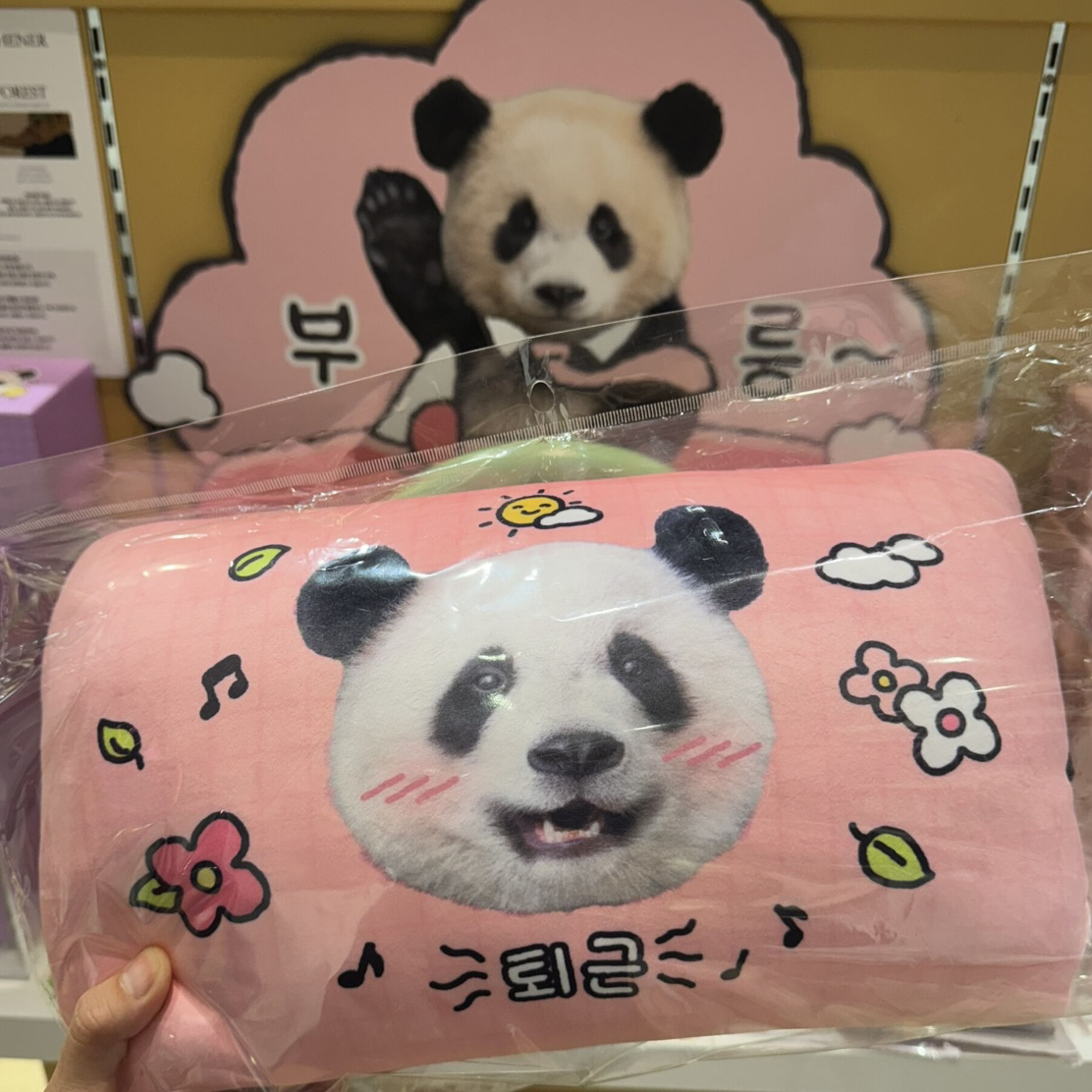 爱宝乐园新款睿宝辉宝大头双面靠垫