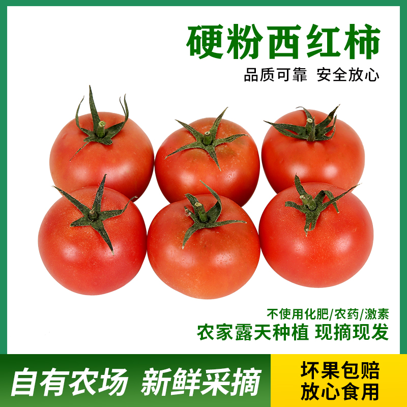 巨青新鲜西红柿种植农家蔬菜产地直发现采现发冷链到家