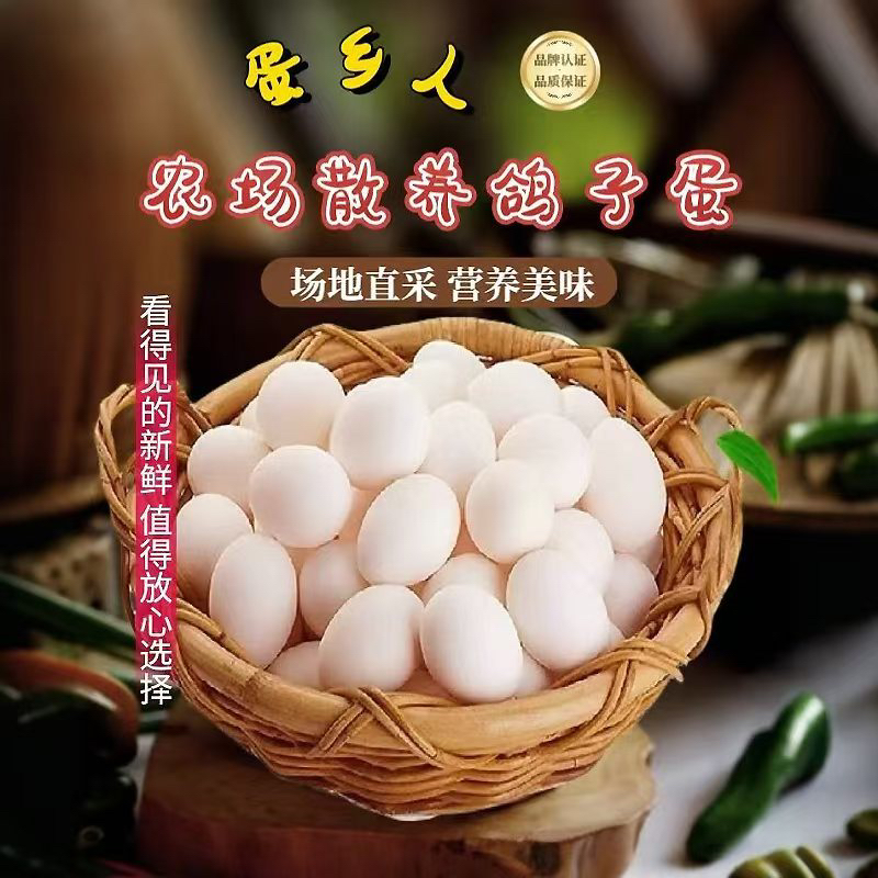 蛋乡人【顺丰京东快递】鸽子蛋高品质散养鸽农家鸽子蛋天然五谷杂粮