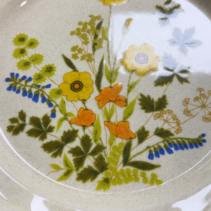 瓷片开播啦…开播啦！