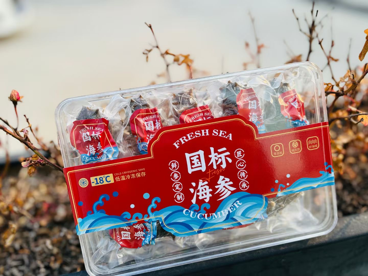 【食客蓉姐】鲜食海参250-   500g肉质美味营养新鲜