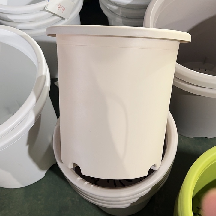 瑕疵8#口径39灰白5个无托