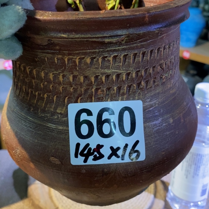 【闪购商品】正品现货