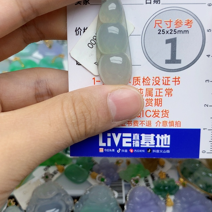 翡翠18K金镶嵌颈饰豆子